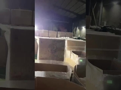 수영복 비키니 섹시한 강도 마모 저항력 높은 탄력 있는 등이 없는  미스 그린